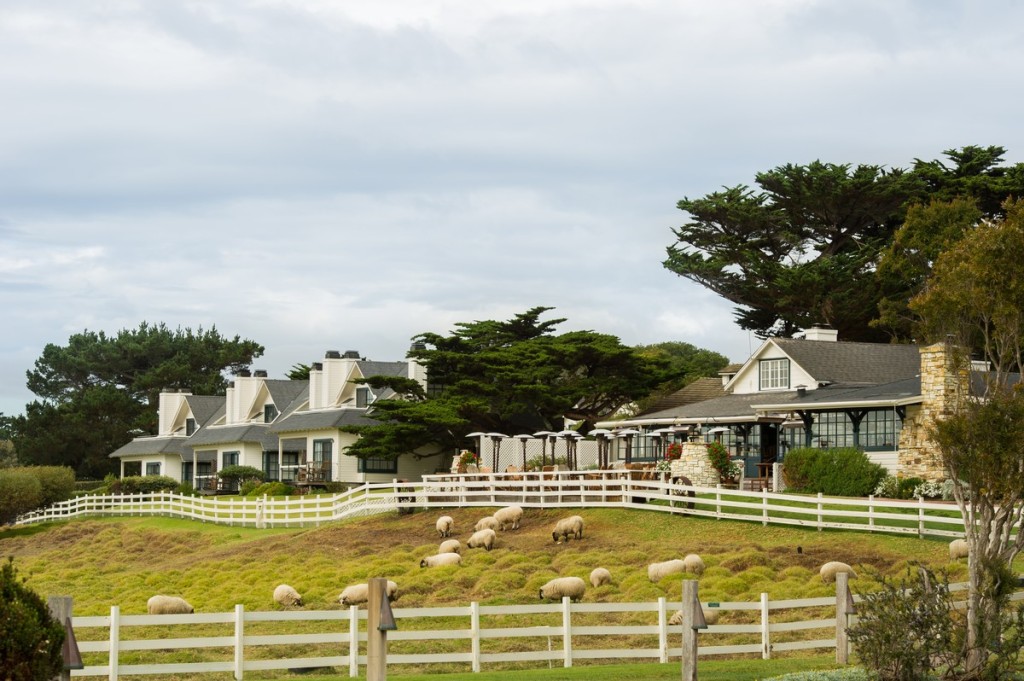 Mission Ranch In Carmel